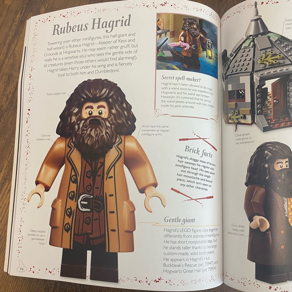 LEGO Harry Potter Magical Treasury Guide - Picture 6 of 6